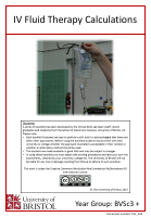 IV Fluid Therapy Calculations (1).pdf - dirzon